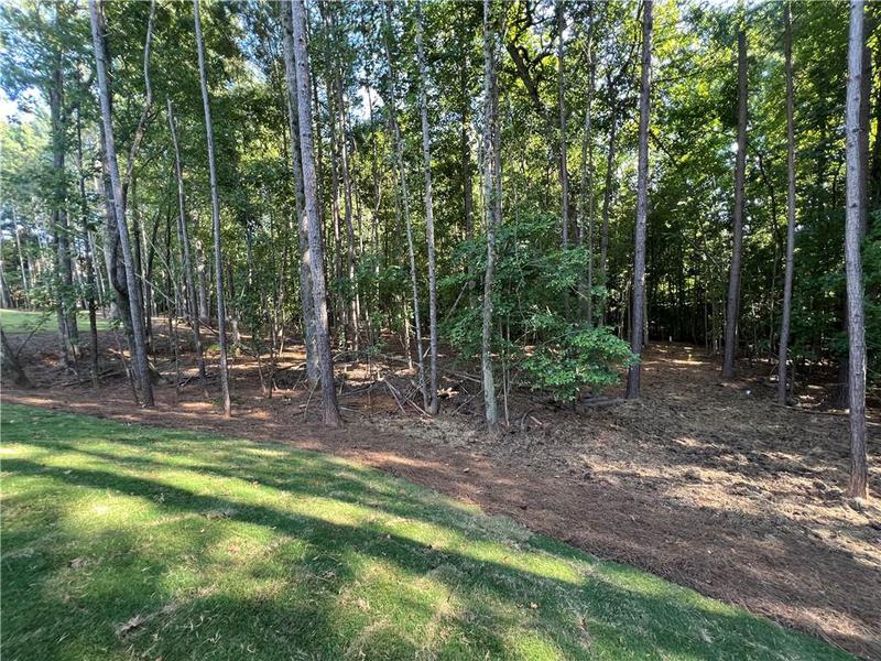 Image for property 2795 Roller Mill Drive, Jefferson, GA 30549