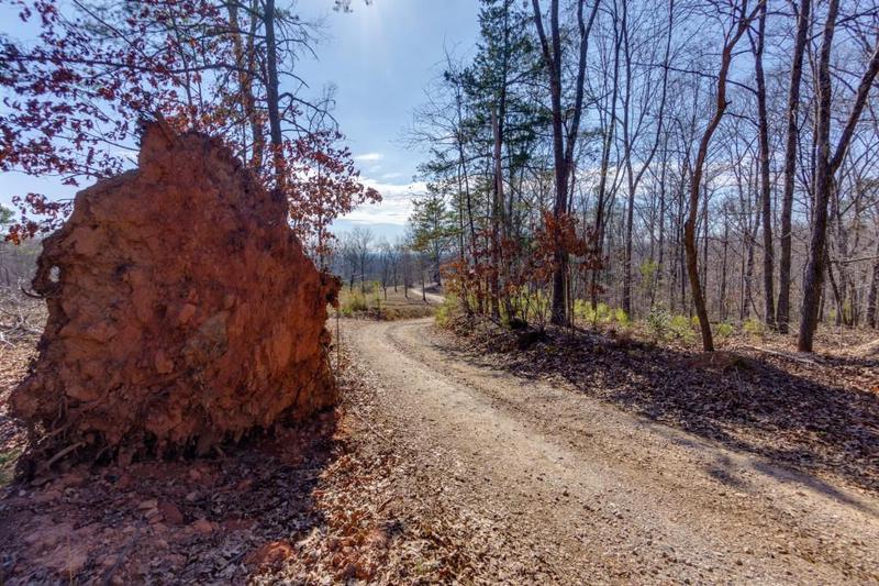 Image for property 170 Sperin Cabinet Road, Ball Ground, GA 30107