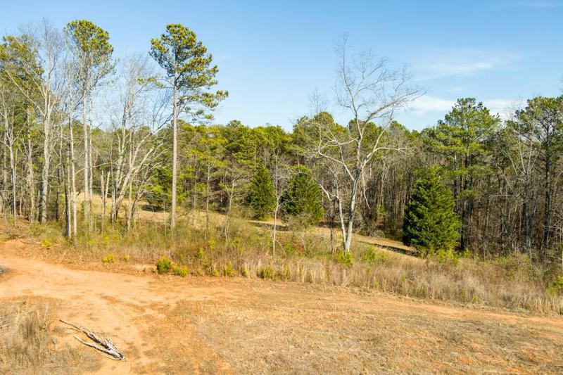 Image for property 170 Sperin Cabinet Road, Ball Ground, GA 30107