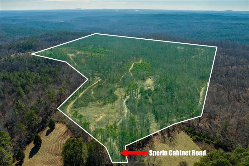 Image for property 170 Sperin Cabinet Road, Ball Ground, GA 30107