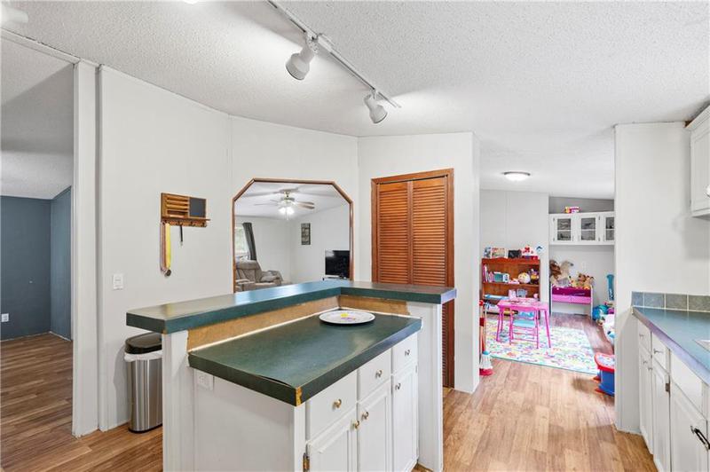 Image for property 250 Brigadier Court, Ball Ground, GA 30107