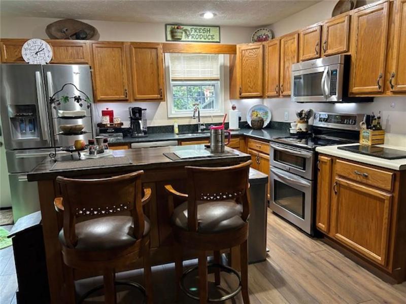Image for property 383 Acadia Drive, Ellijay, GA 30540