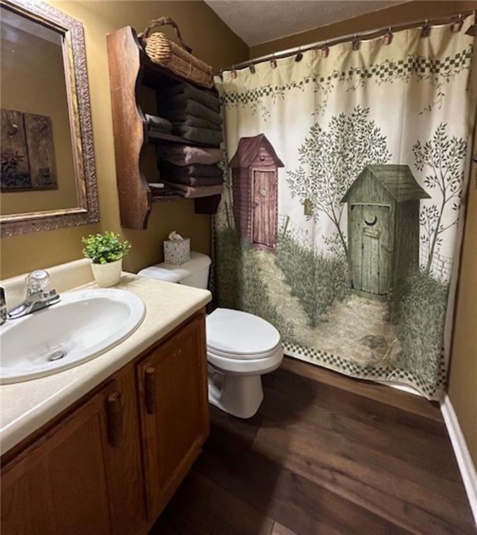 Image for property 383 Acadia Drive, Ellijay, GA 30540