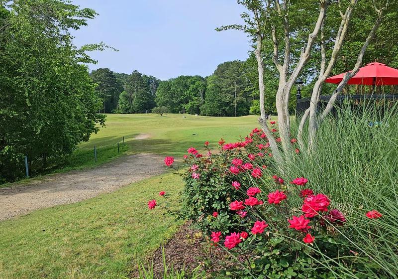Image for property 201 Triumph Drive, Atlanta, GA 30327