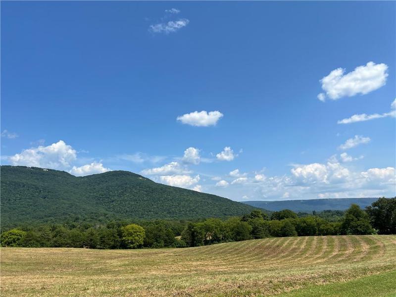 Image for property 260 Old Deer Head Cove Road, Rising Fawn, GA 30738