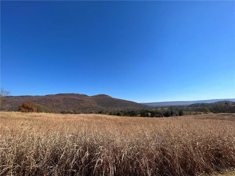 Image for property 260 Old Deer Head Cove Road, Rising Fawn, GA 30738