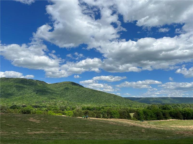 Image for property 260 Old Deer Head Cove Road, Rising Fawn, GA 30738