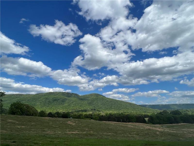 Image for property 260 Old Deer Head Cove Road, Rising Fawn, GA 30738