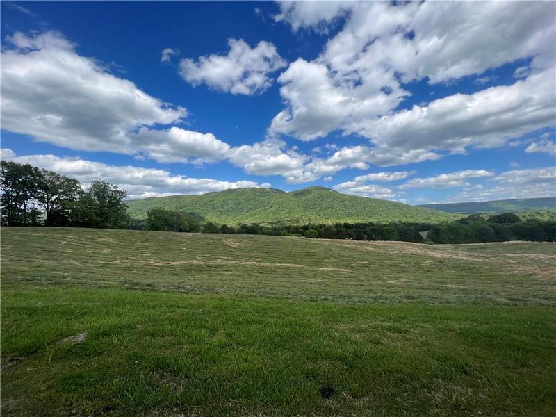 Image for property 260 Old Deer Head Cove Road, Rising Fawn, GA 30738
