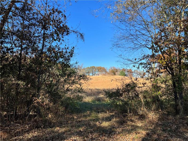 Image for property 260 Old Deer Head Cove Road, Rising Fawn, GA 30738