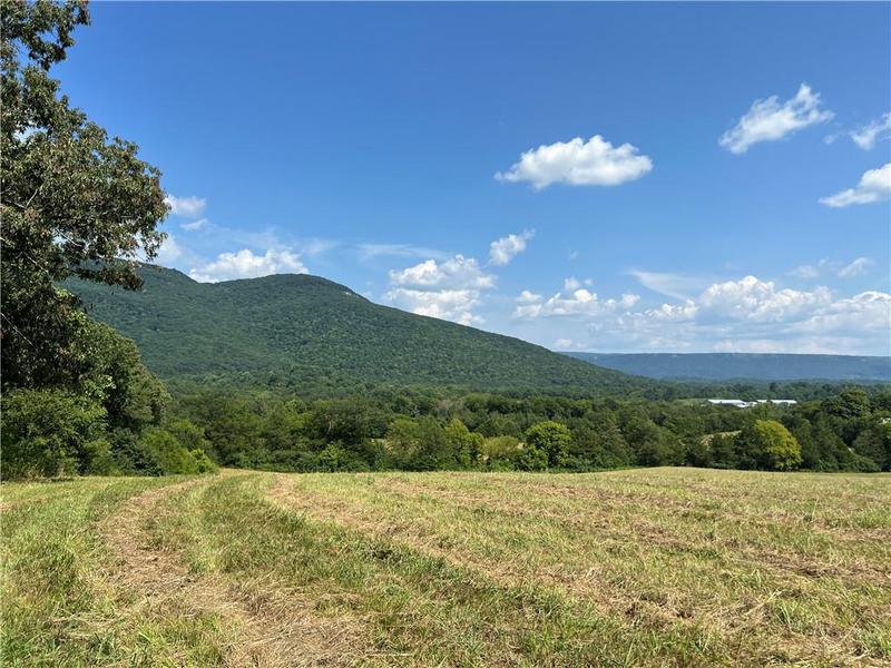 Image for property 260 Old Deer Head Cove Road, Rising Fawn, GA 30738
