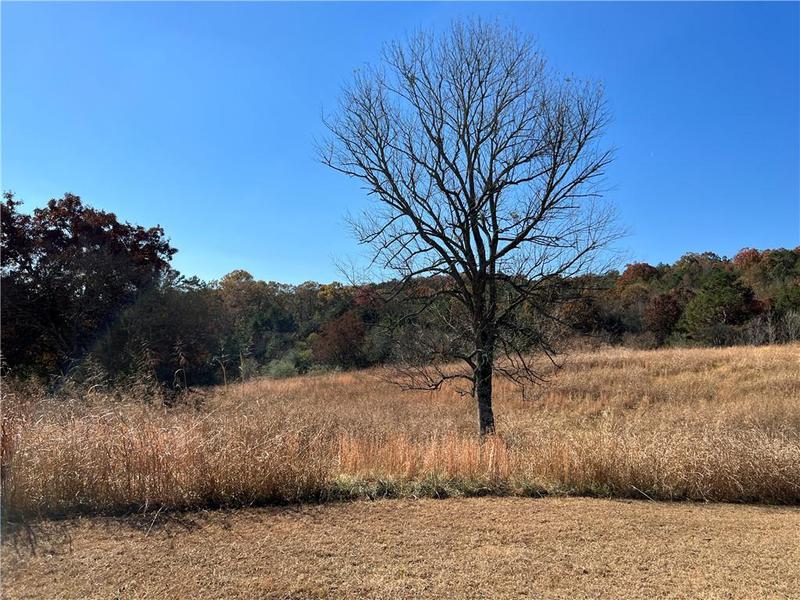 Image for property 260 Old Deer Head Cove Road, Rising Fawn, GA 30738
