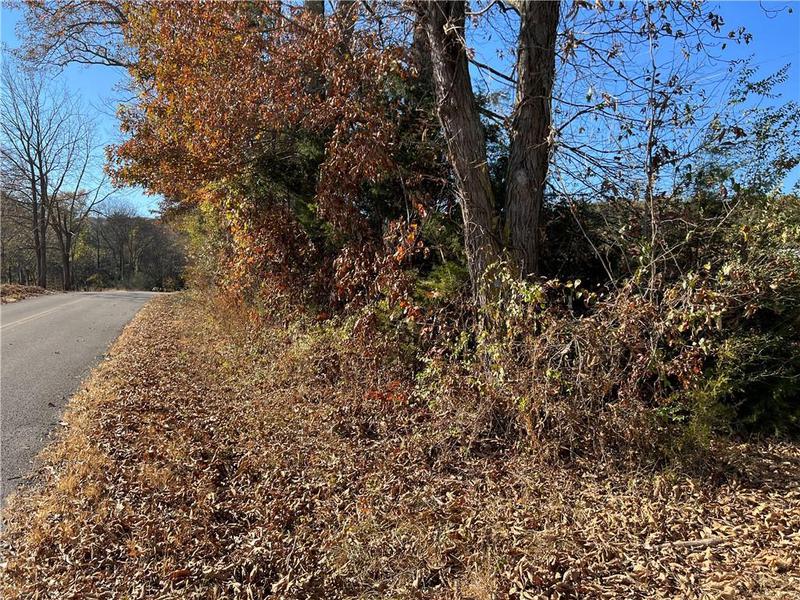 Image for property 260 Old Deer Head Cove Road, Rising Fawn, GA 30738