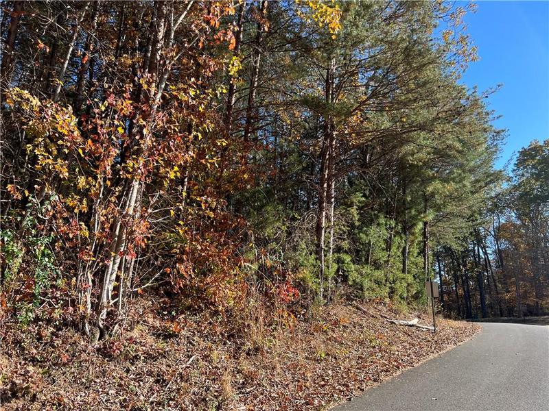 Image for property 260 Old Deer Head Cove Road, Rising Fawn, GA 30738
