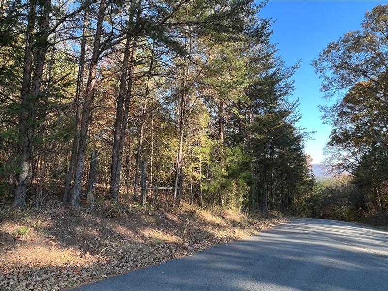 Image for property 260 Old Deer Head Cove Road, Rising Fawn, GA 30738