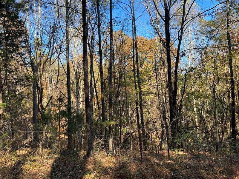 Image for property 260 Old Deer Head Cove Road, Rising Fawn, GA 30738