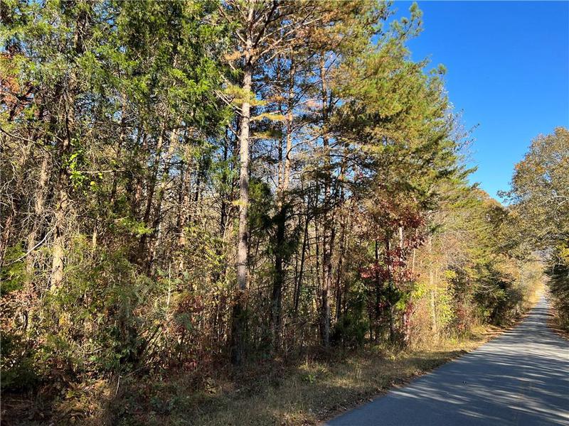 Image for property 260 Old Deer Head Cove Road, Rising Fawn, GA 30738