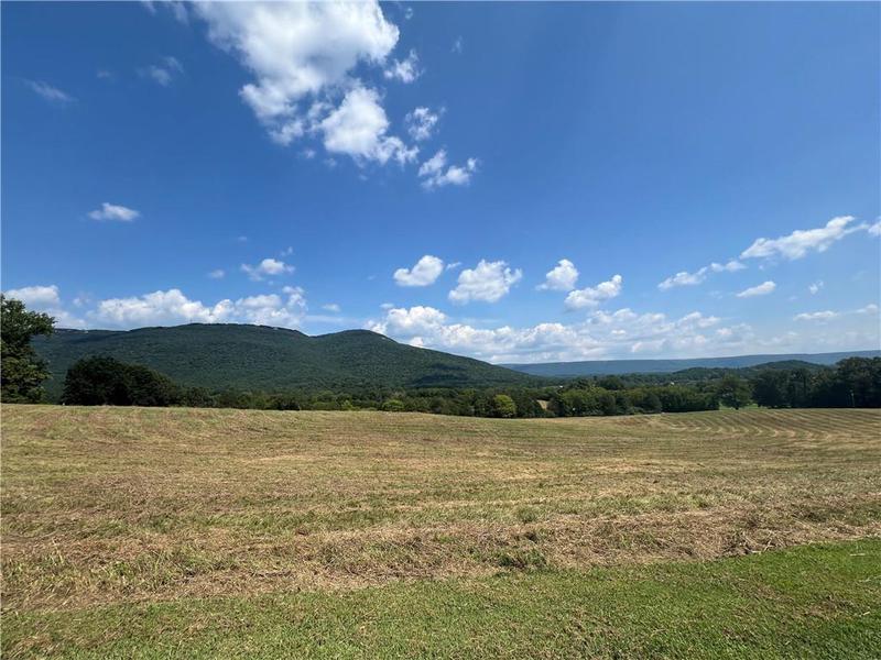 Image for property 260 Old Deer Head Cove Road, Rising Fawn, GA 30738