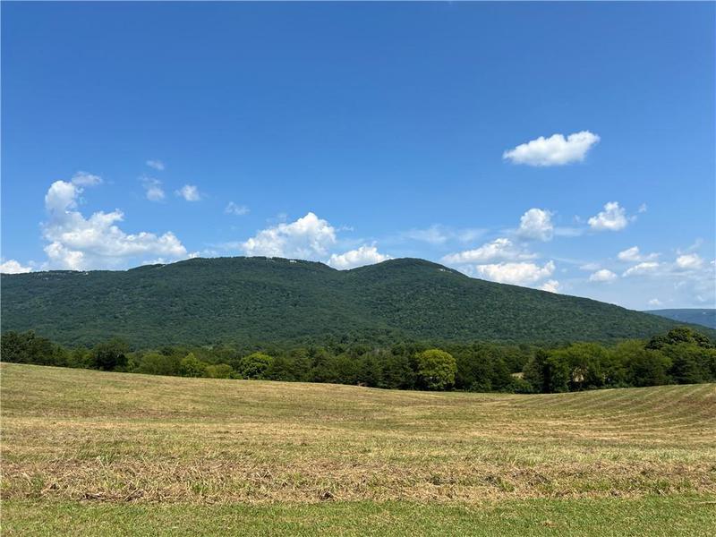 Image for property 260 Old Deer Head Cove Road, Rising Fawn, GA 30738