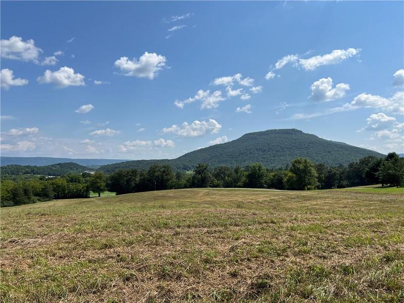 Image for property 260 Old Deer Head Cove Road, Rising Fawn, GA 30738