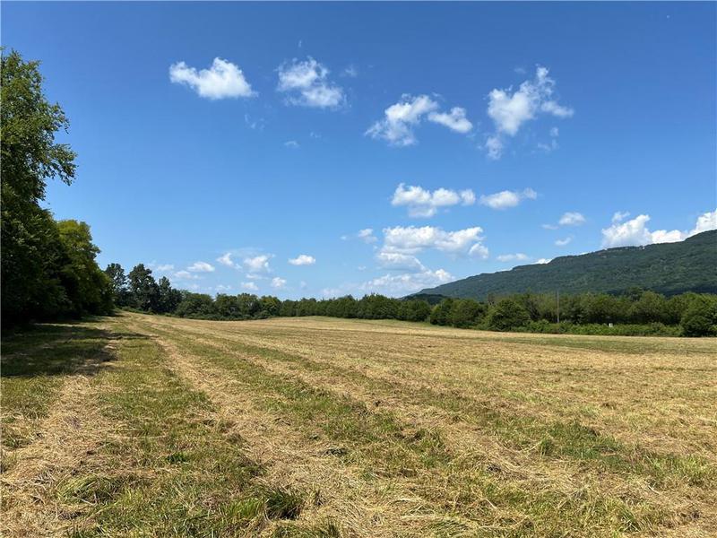 Image for property 260 Old Deer Head Cove Road, Rising Fawn, GA 30738
