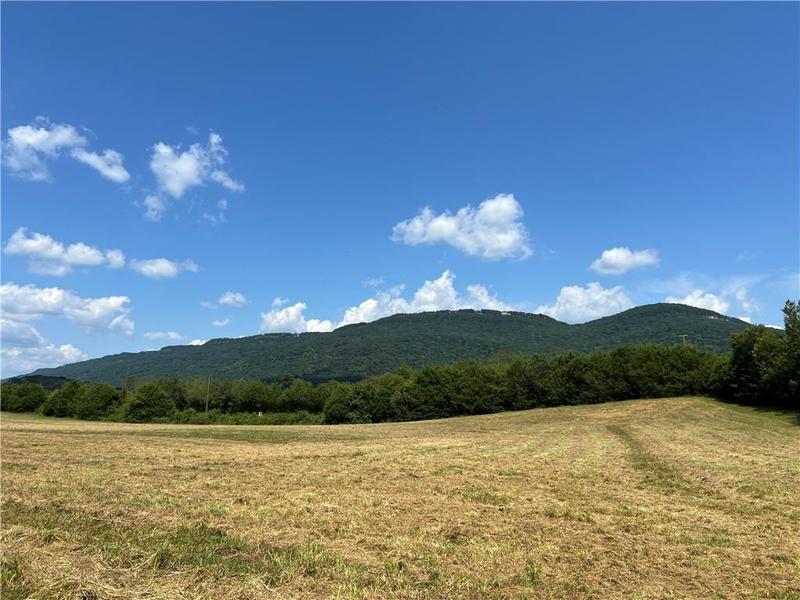 Image for property 260 Old Deer Head Cove Road, Rising Fawn, GA 30738