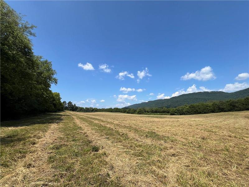 Image for property 260 Old Deer Head Cove Road, Rising Fawn, GA 30738