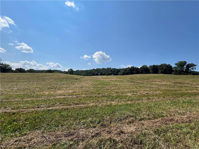 Image for property 260 Old Deer Head Cove Road, Rising Fawn, GA 30738