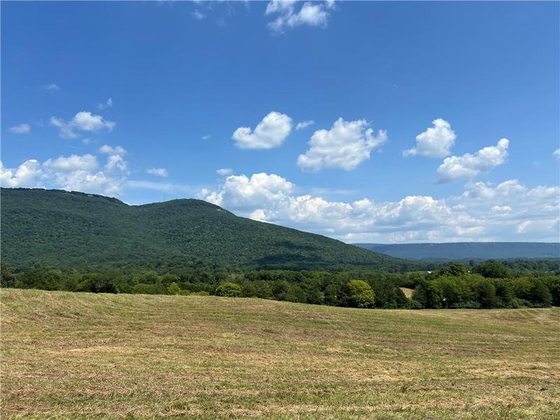 Image for property 260 Old Deer Head Cove Road, Rising Fawn, GA 30738