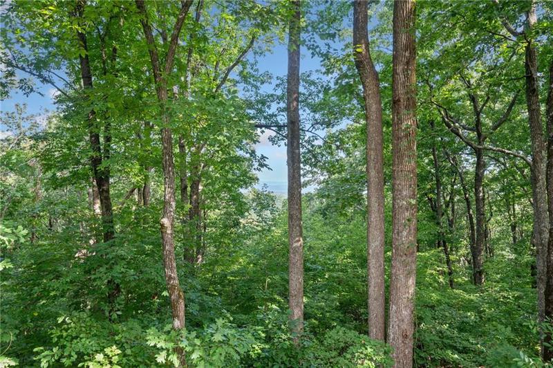 Image for property 5 Tally Mountain Road, Jasper, GA 30143