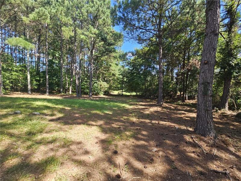Image for property 2900 Brandford Trail, Locust Grove, GA 30248