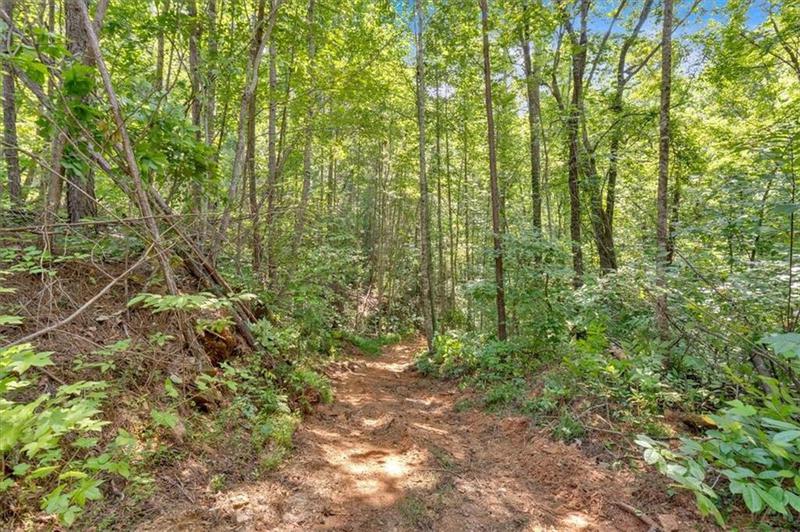 Image for property 1960 Whitestone Drive, Talking Rock, GA 30175