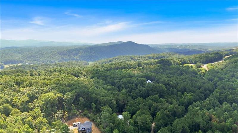 Image for property 1960 Whitestone Drive, Talking Rock, GA 30175