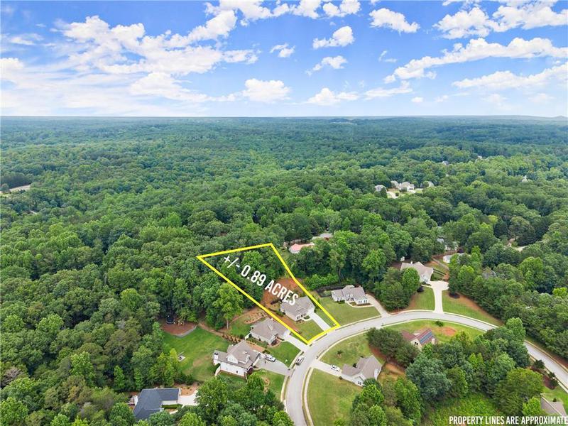 Image for property 3521 Phoenix Cove Drive, Gainesville, GA 30506