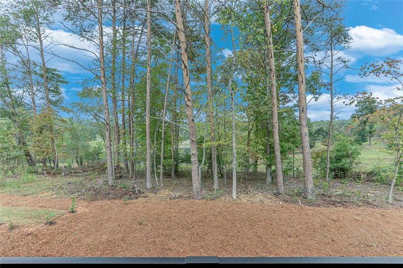 Image for property 6106 BLUEWATER Boulevard, Gainesville, GA 30506
