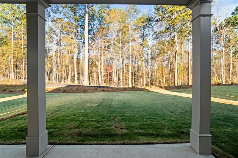 Image for property 192 Geneva Way, Hoschton, GA 30548