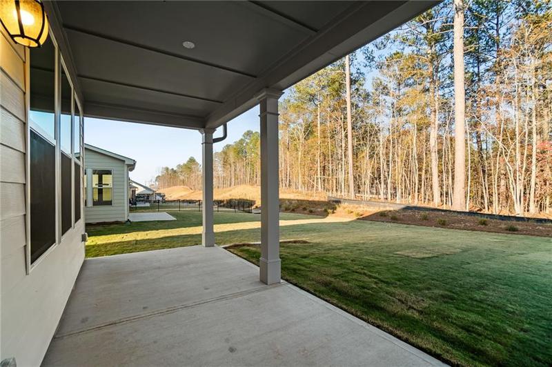 Image for property 192 Geneva Way, Hoschton, GA 30548