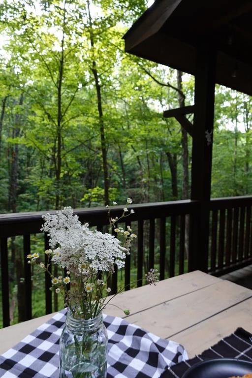 Image for property 45 Ridge view Drive, Blue Ridge, GA 30513