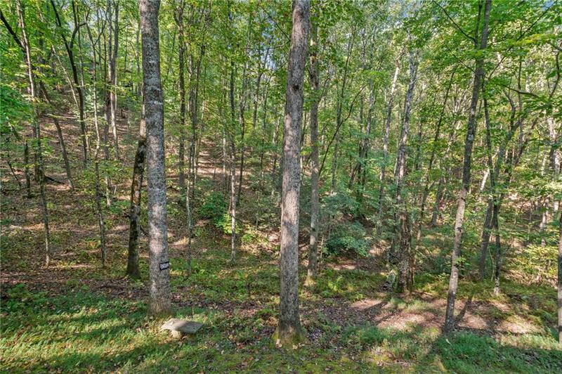 Image for property 45 Ridge view Drive, Blue Ridge, GA 30513
