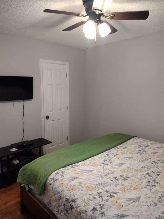 Image for property 115 Elberta Street, Mcdonough, GA 30253