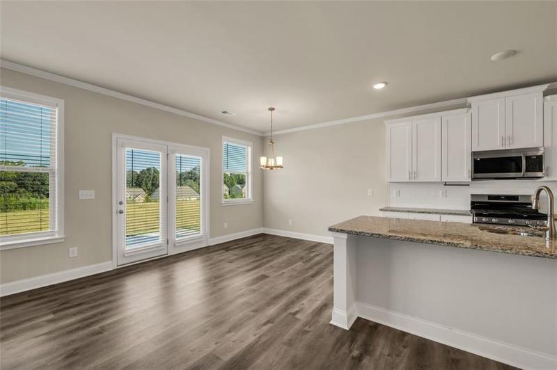 Image for property 96 LOTT CREEK Court, Braselton, GA 30517