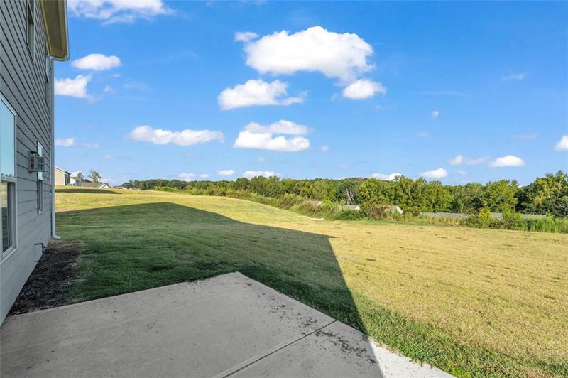 Image for property 96 LOTT CREEK Court, Braselton, GA 30517