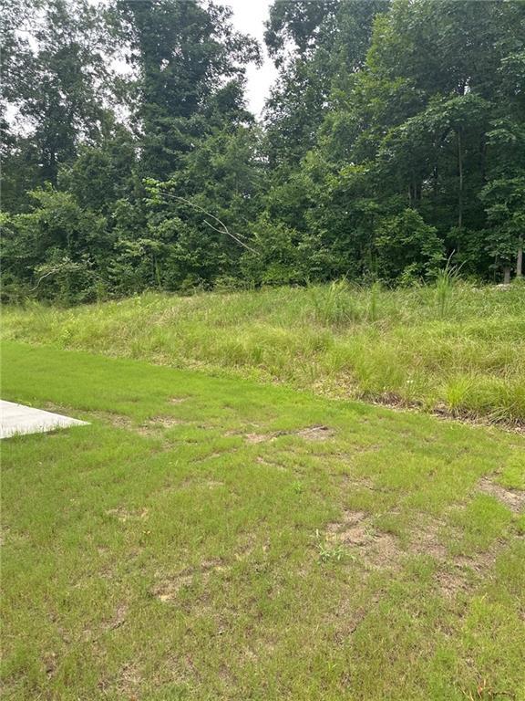 Image for property 2260 Highridge Point Drive, Lithia Springs, GA 30122