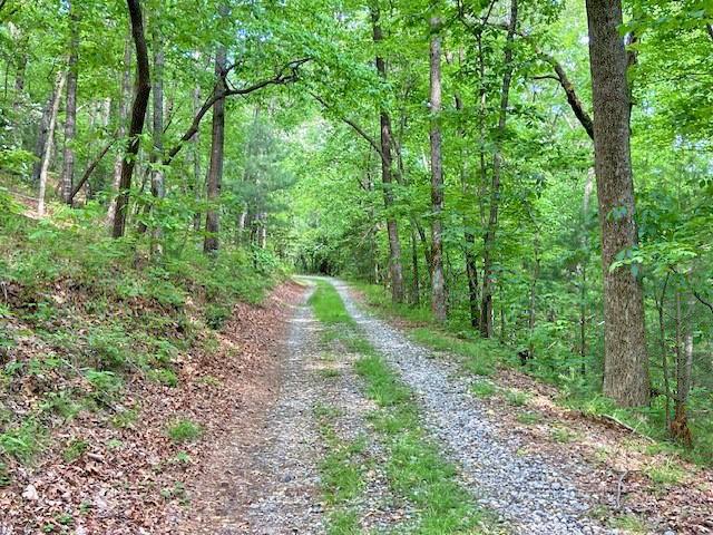 Image for property 950 SIGN BOARD GAP Trail, Dawsonville, GA 30534