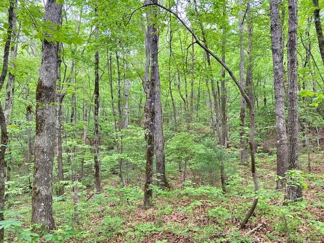 Image for property 950 SIGN BOARD GAP Trail, Dawsonville, GA 30534