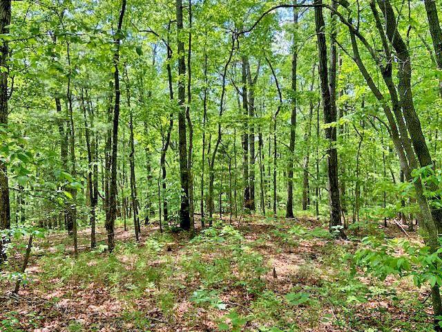 Image for property 950 SIGN BOARD GAP Trail, Dawsonville, GA 30534