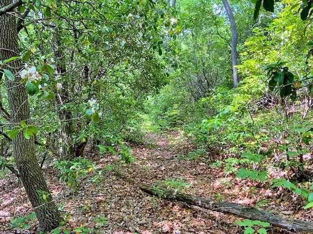 Image for property 950 SIGN BOARD GAP Trail, Dawsonville, GA 30534