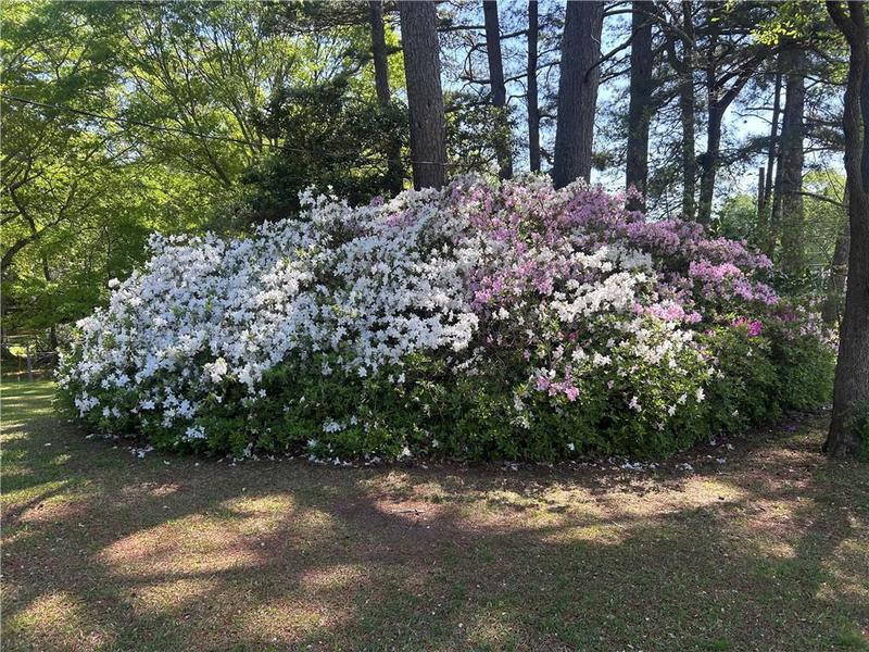 Image for property 3970 Norman Road, Stone Mountain, GA 30083