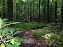 Image for property 128 Marina Parc Drive, Waleska, GA 30183