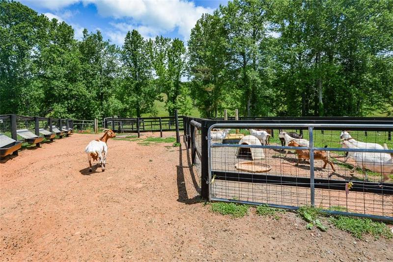 Image for property 114 Addington Lane, Waleska, GA 30183